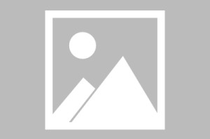 mk体育在线登录入口注册指南，简单步骤助你轻松登录mk体育在线登录入口注册